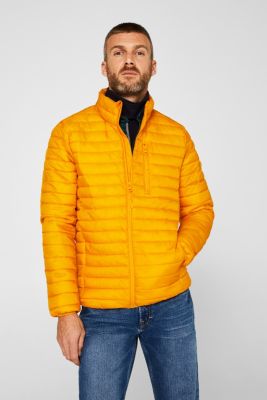 Esprit Quilted jacket with 3M® Thinsulate® padding at our Online Shop