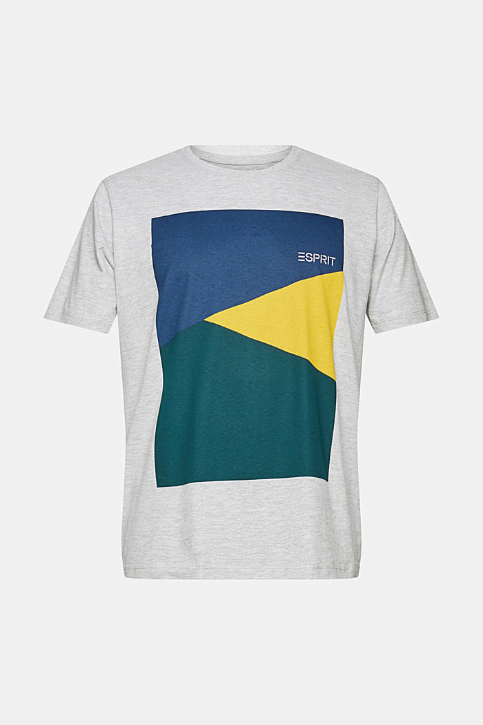 Jersey T-shirt with a print made of organic cotton, LIGHT GREY, overview