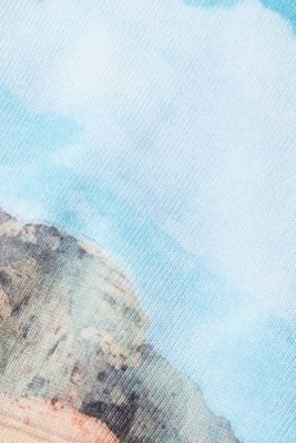 올오버 랜드스케이프 디지털 프린트 크롭 스웨터, TURQUOISE, detail-asia image number 6