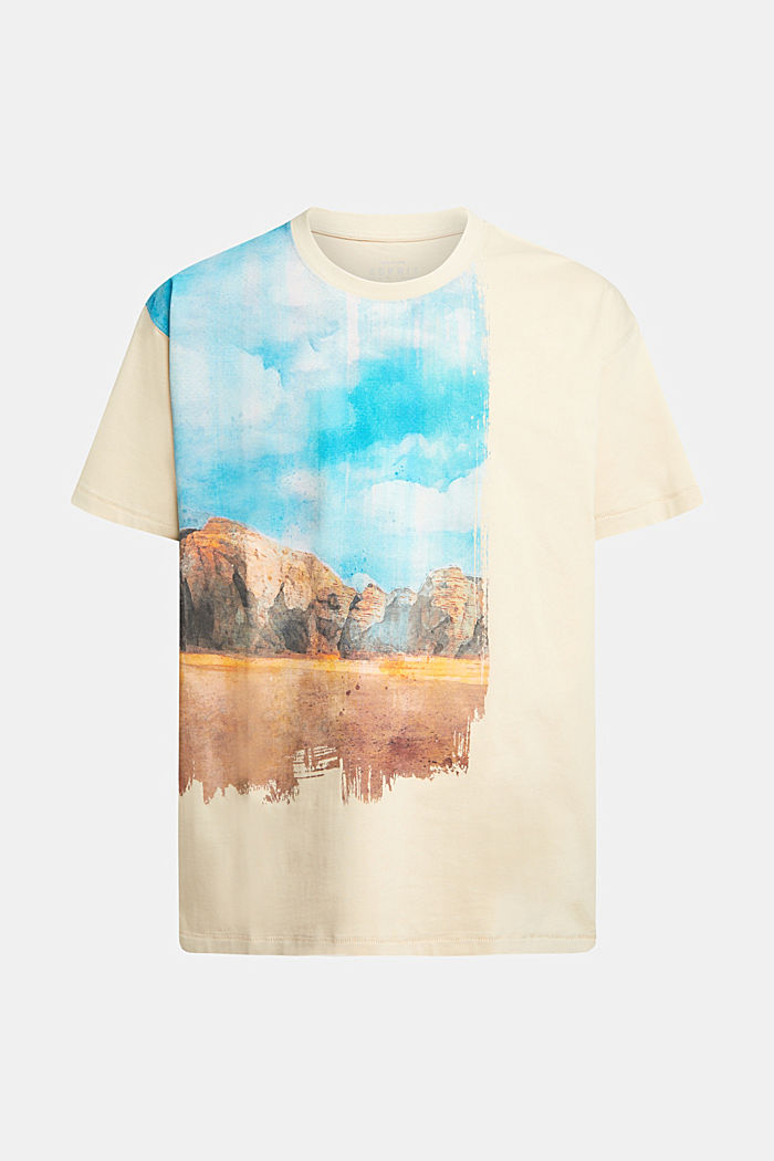 Front panel landscape digital print t-shirt, BEIGE, detail-asia image number 4