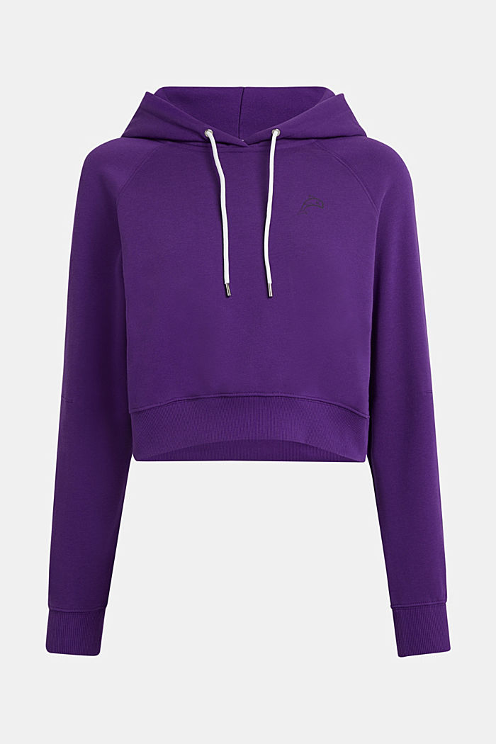 Color Dolphin Cropped Hoodie