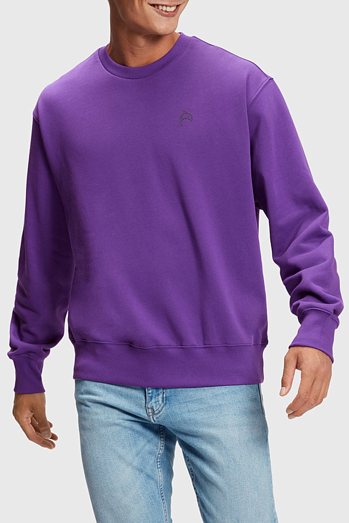 Color Dolphin Sweatshirt