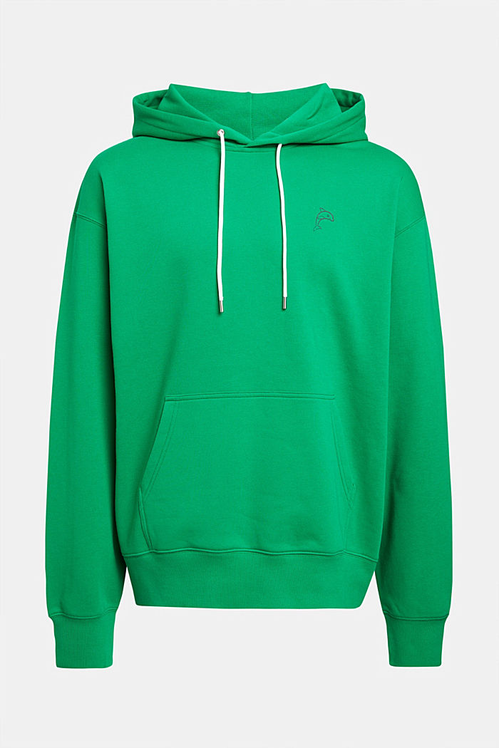 Color Dolphin Hoodie