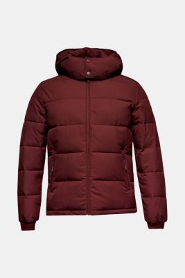 Esprit Quilted jacket with 3M™ Thinsulate™ padding at our Online Shop