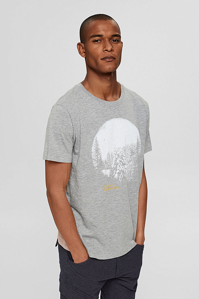 Printtikuvioitu jersey-t-paita, luomupuuvillasekoitetta, MEDIUM GREY, detail image number 0