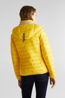 ESPRIT Quilted jacket with 3M™ Thinsulate™ padding at our Online Shop