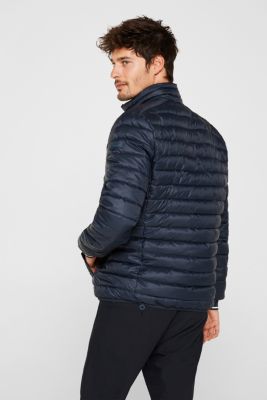 ESPRIT - Quilted jacket with 3M™ Thinsulate™ filling at our Online Shop