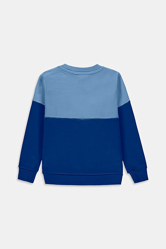 Sweat-shirt colour blocking à imprimé brillant, BRIGHT BLUE, detail image number 1