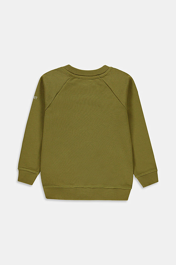 Basic Sweatshirt aus 100% Baumwolle, LEAF GREEN, detail image number 1