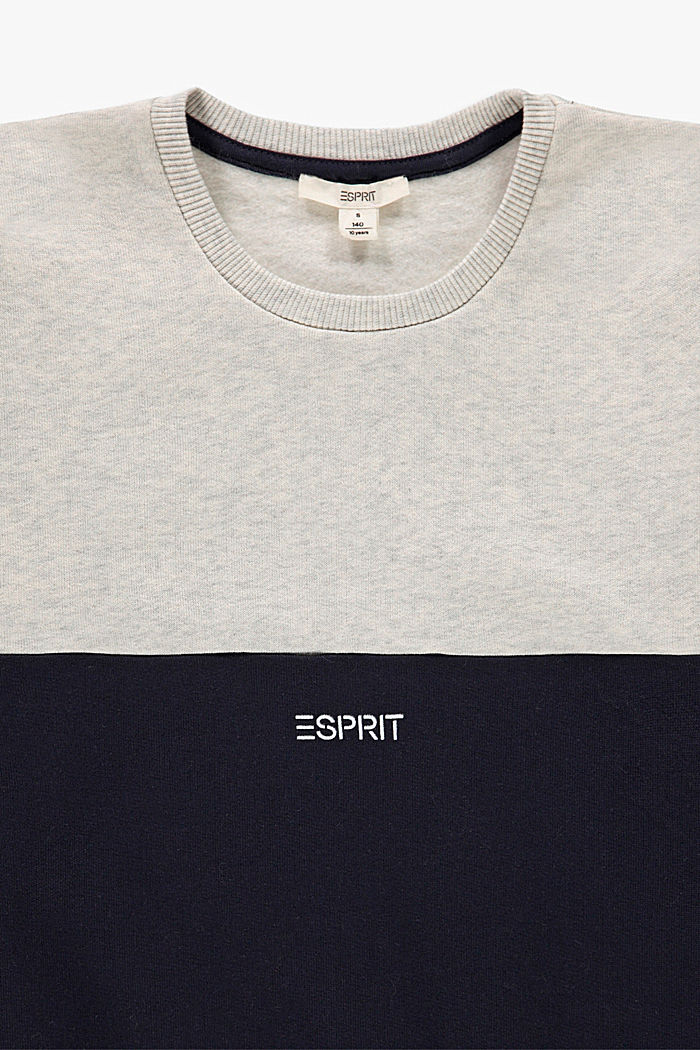 Sweat-shirt colour blocking en 100 % coton, NAVY, detail image number 2