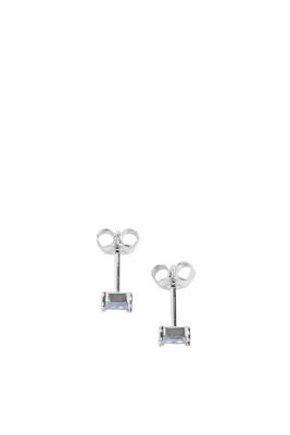 Licences Earrings silver