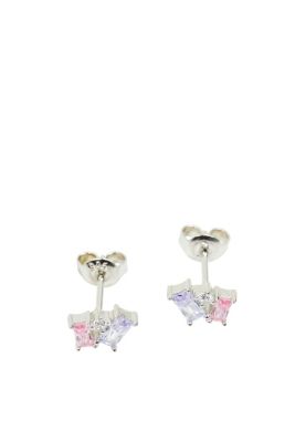 Licences Earrings silver