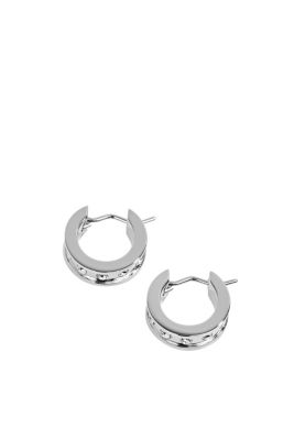 Licences Earrings steel